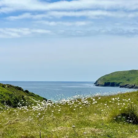 Seafront House With Own Private Pier In Gunpoint, Schull, West Cork 別荘 Seafort